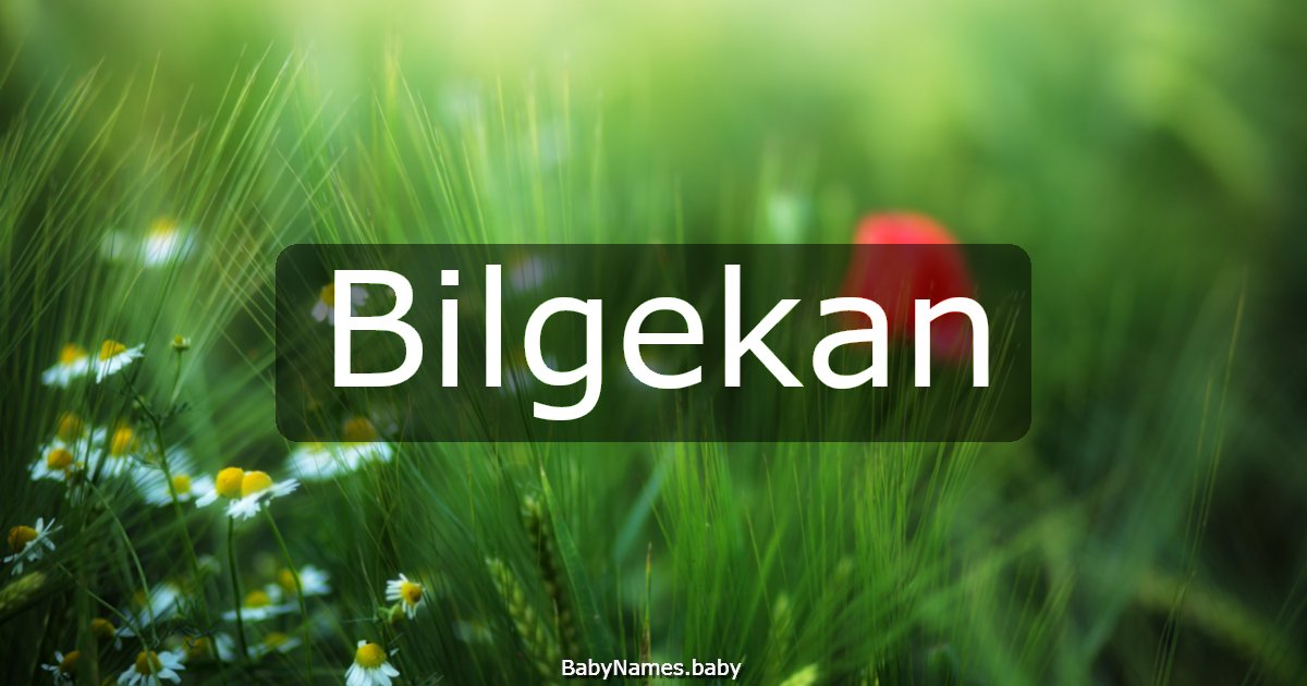 Bilgekan