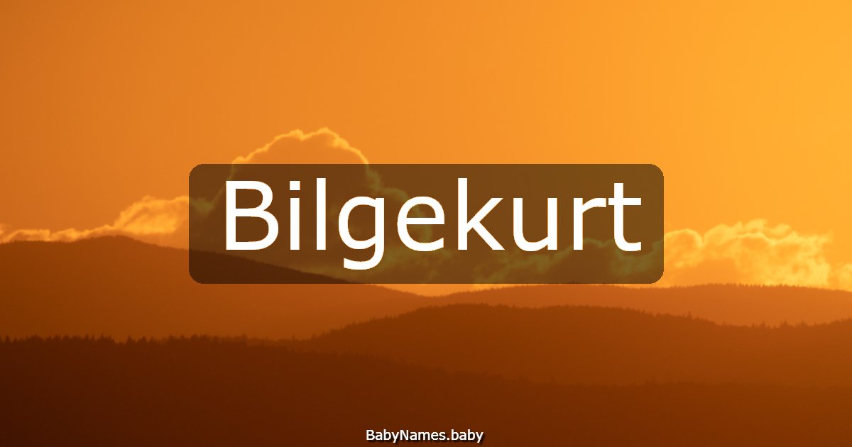Bilgekurt