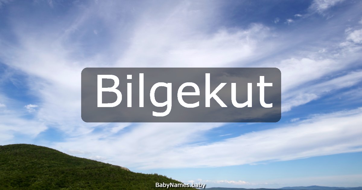 Bilgekut