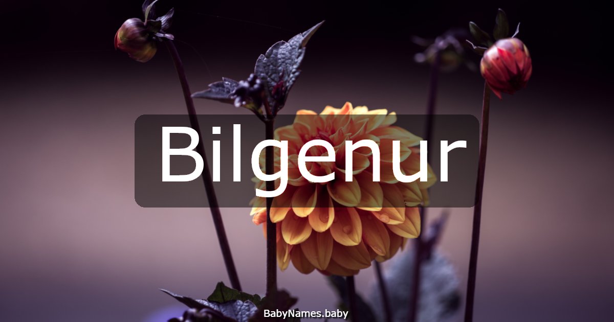 Bilgenur
