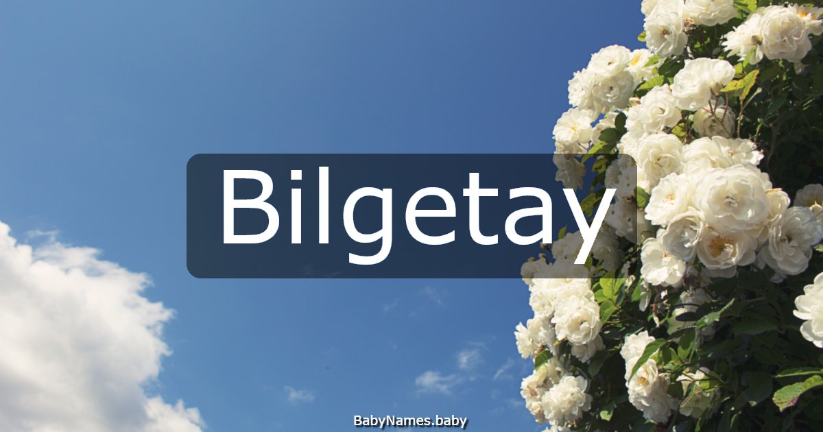 Bilgetay