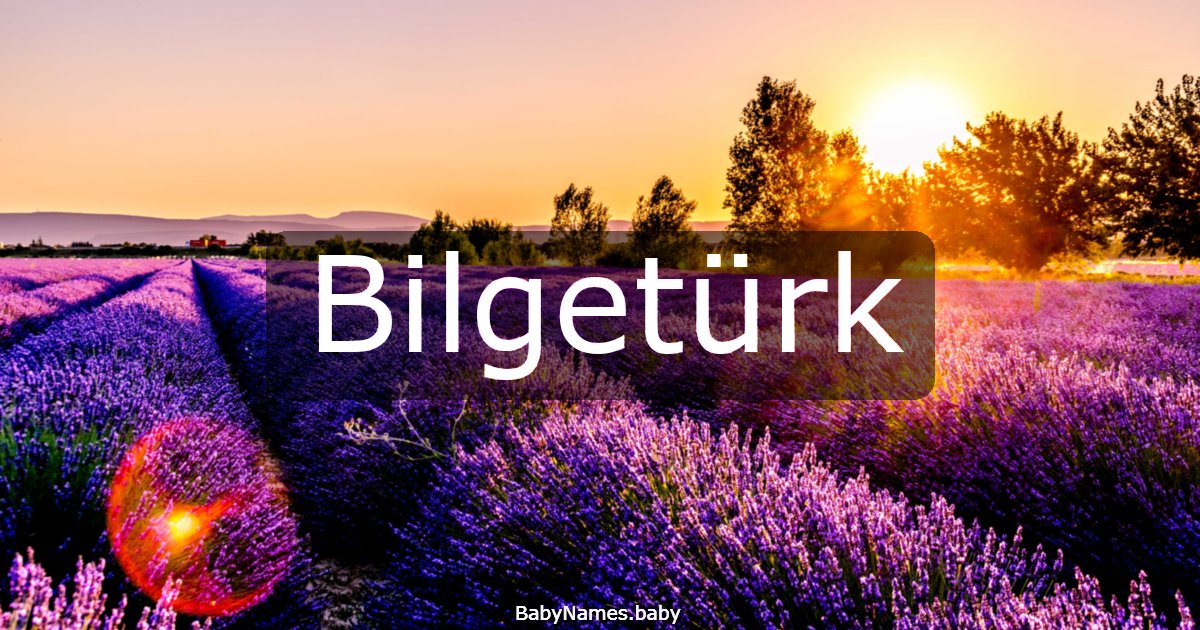 Bilgetürk