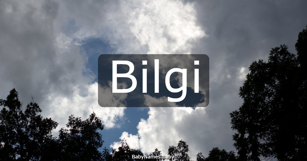 Bilgi