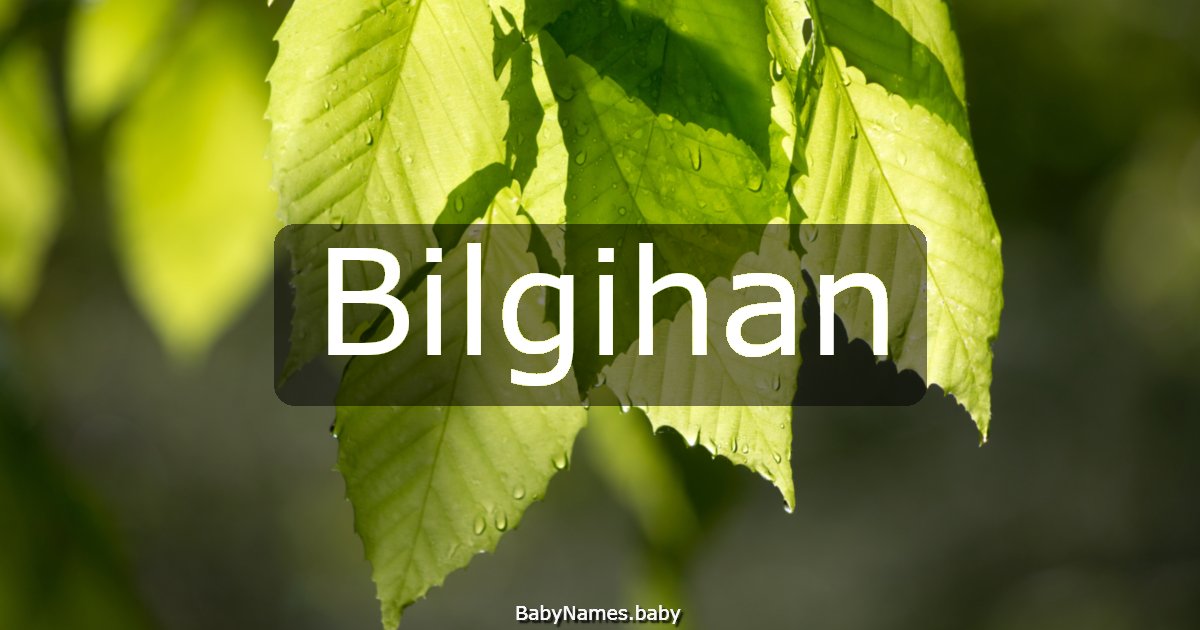 Bilgihan
