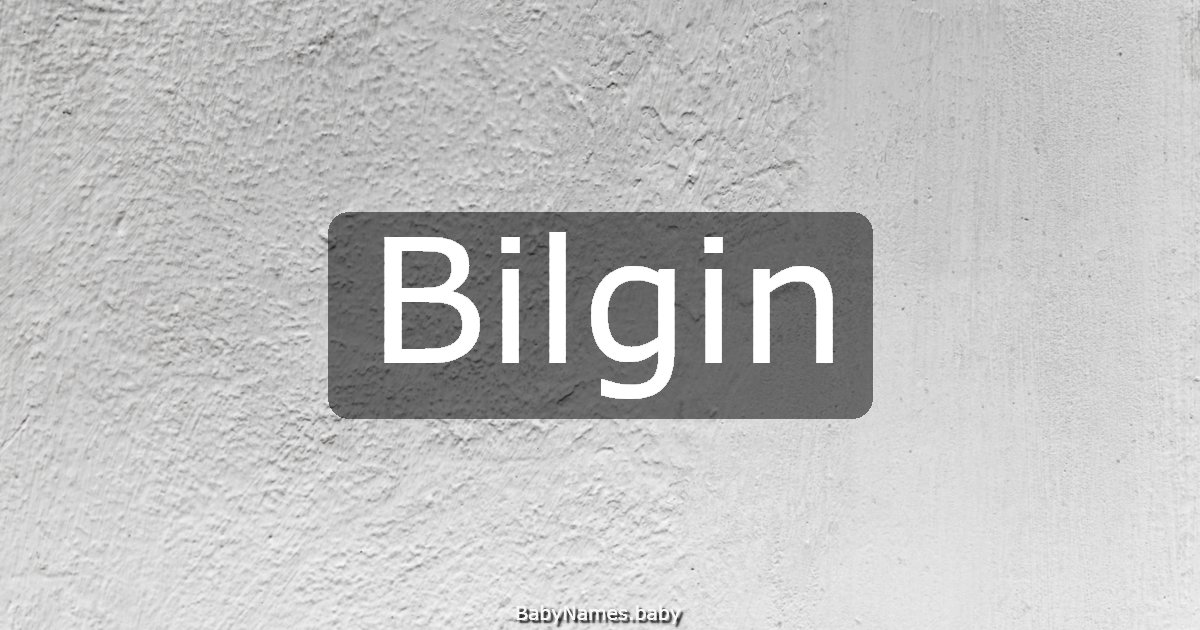 Bilgin