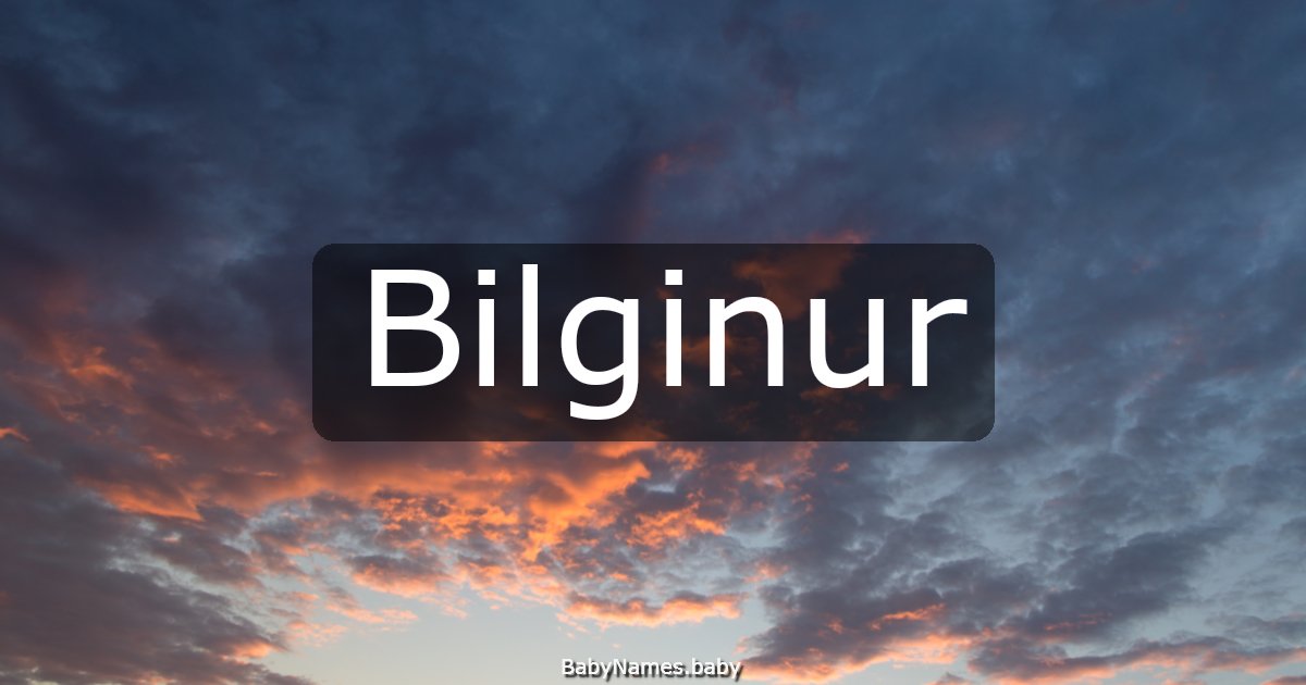 Bilginur