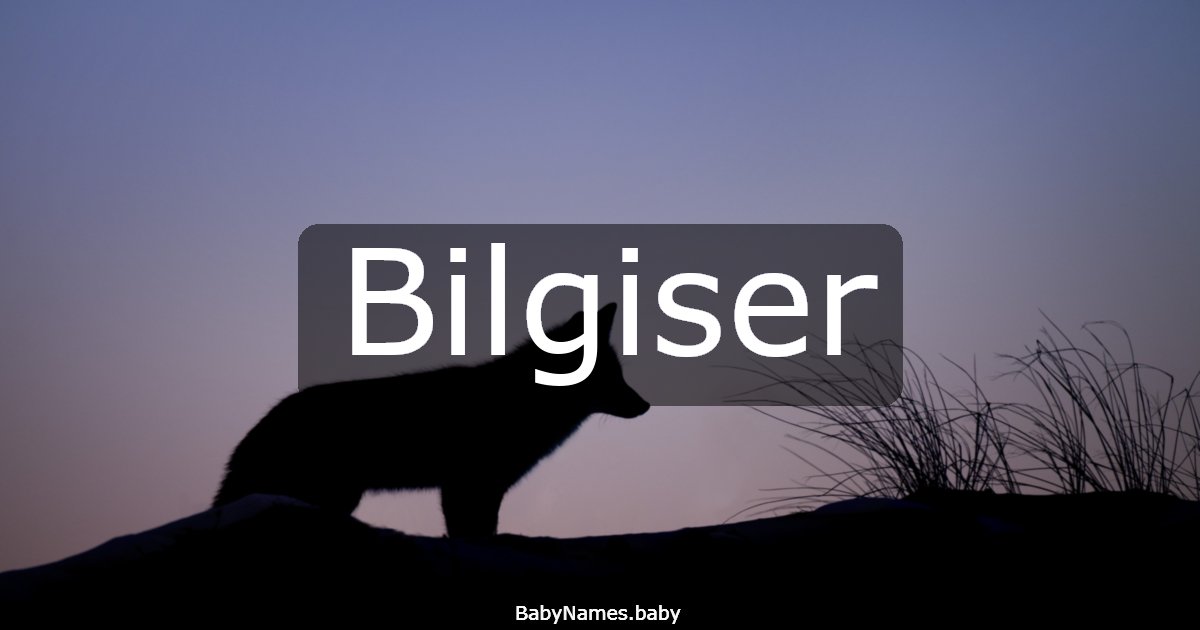 Bilgiser