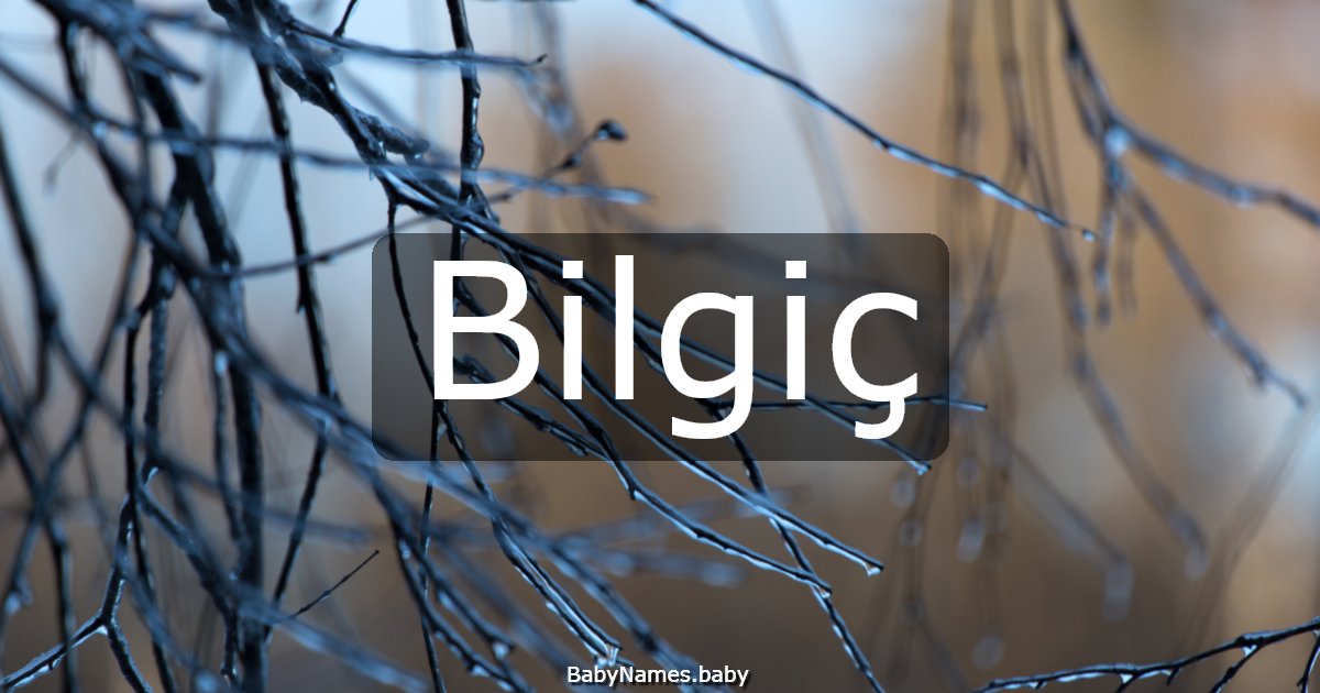 Bilgiç