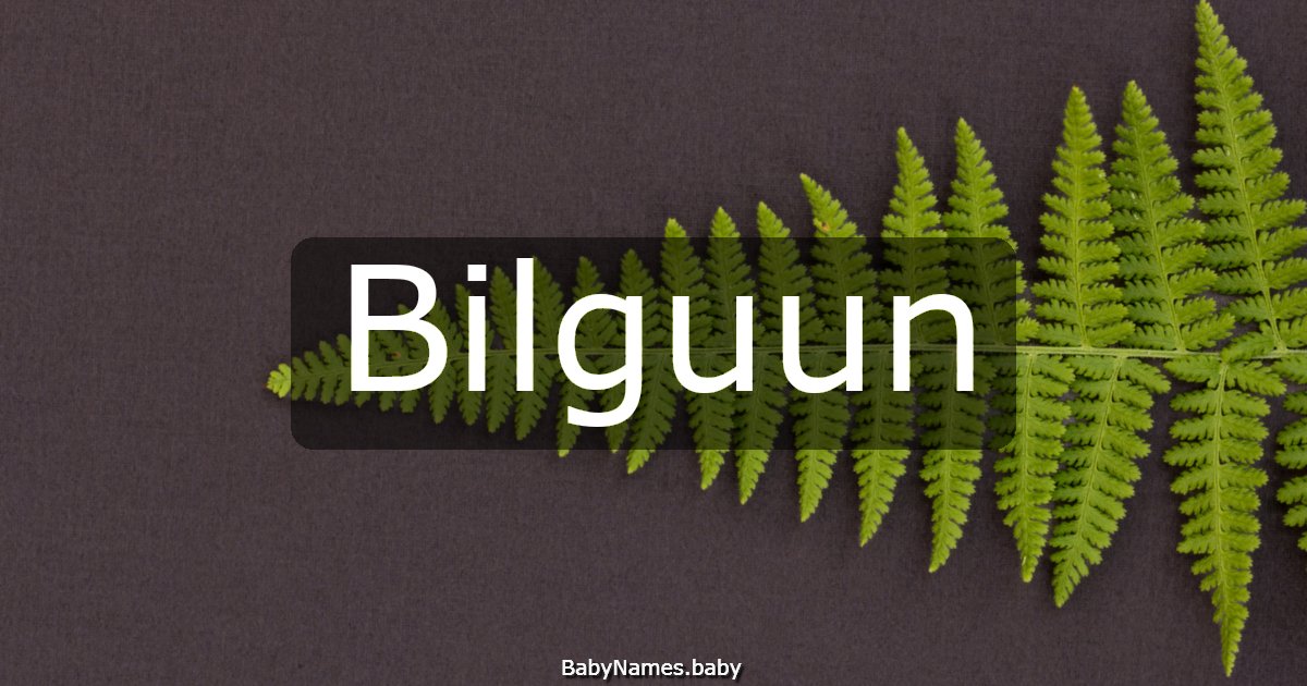 Bilguun