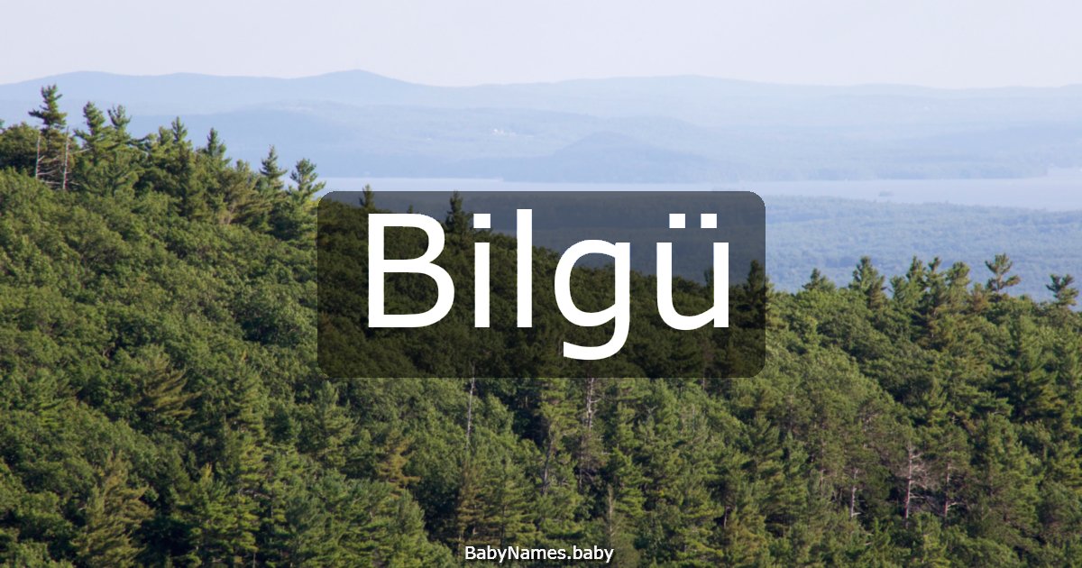 Bilgü