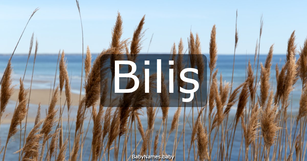 Biliş