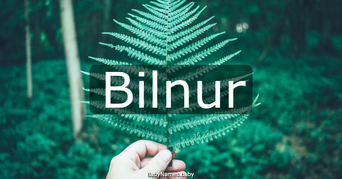 Bilnur