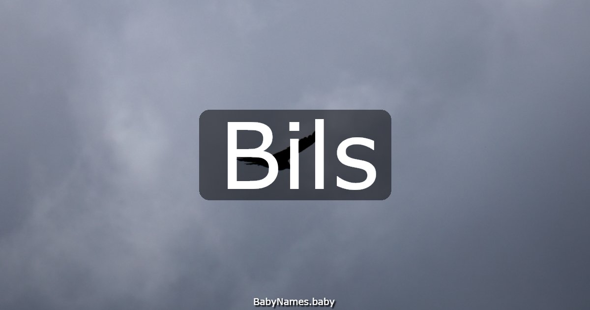 Bils