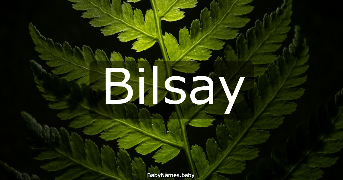 Bilsay