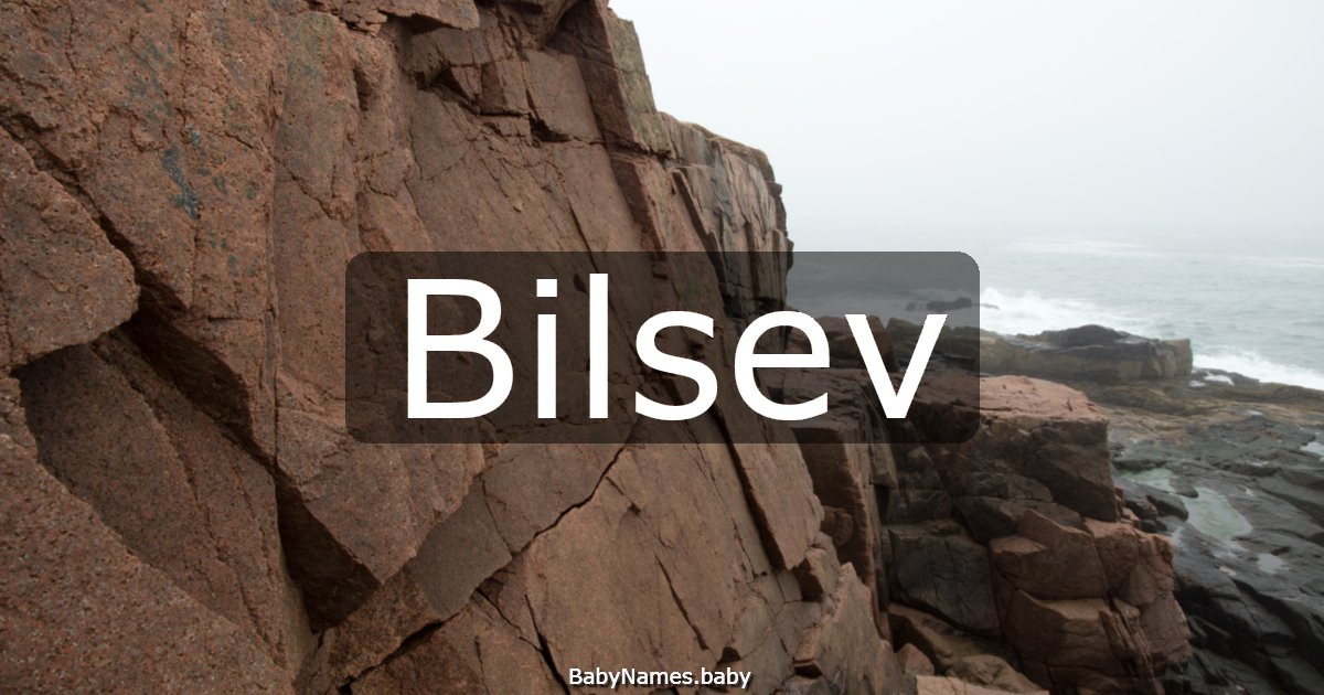 Bilsev
