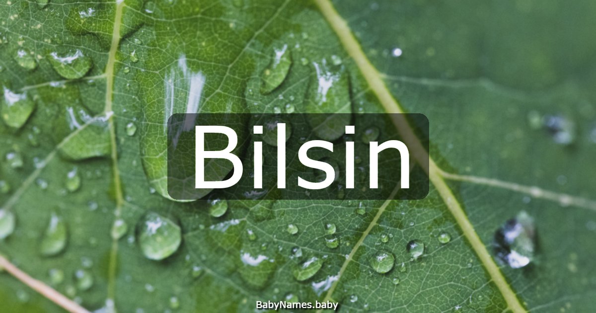 Bilsin
