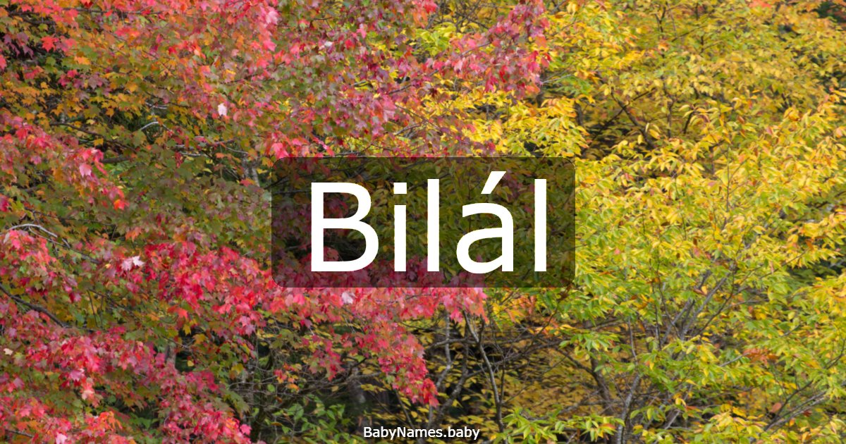 Bilál