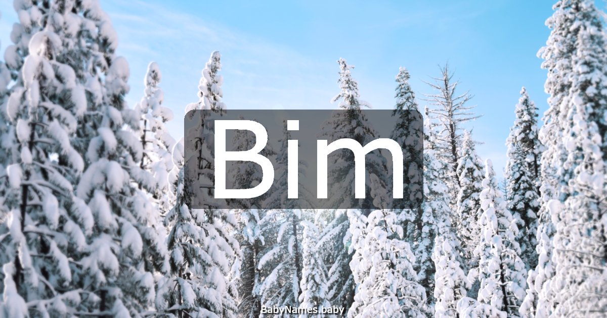 Bim