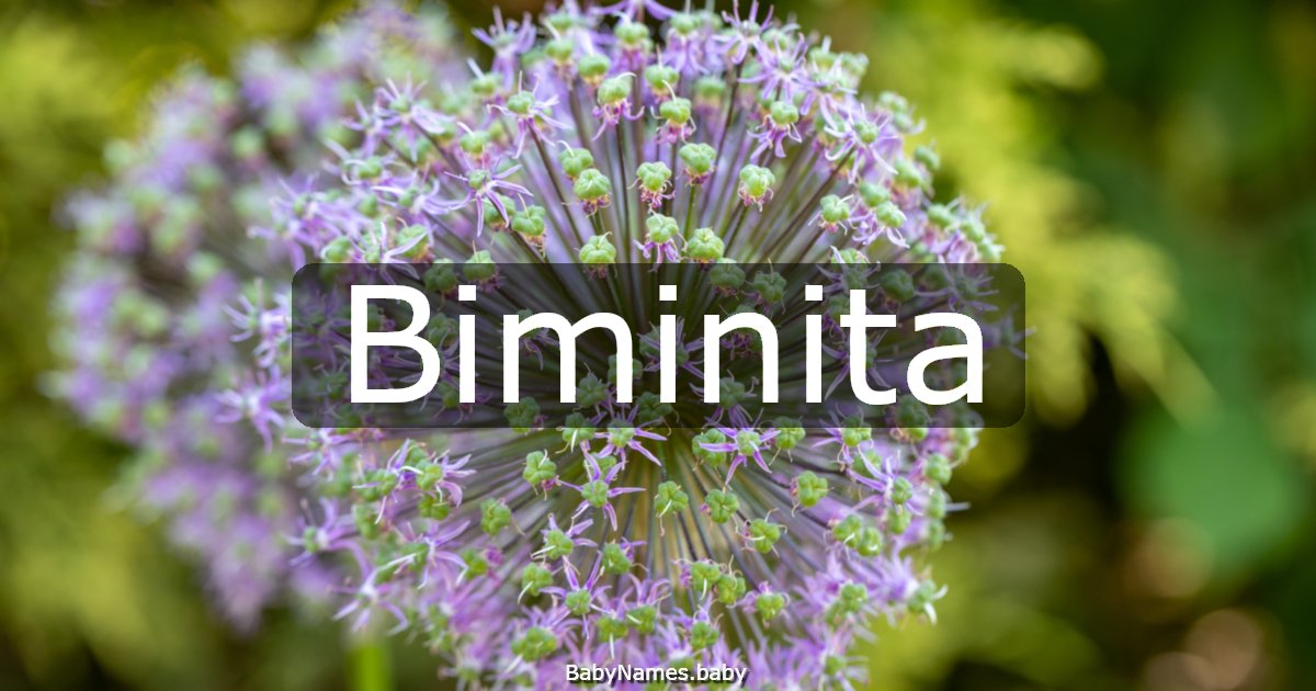 Biminita