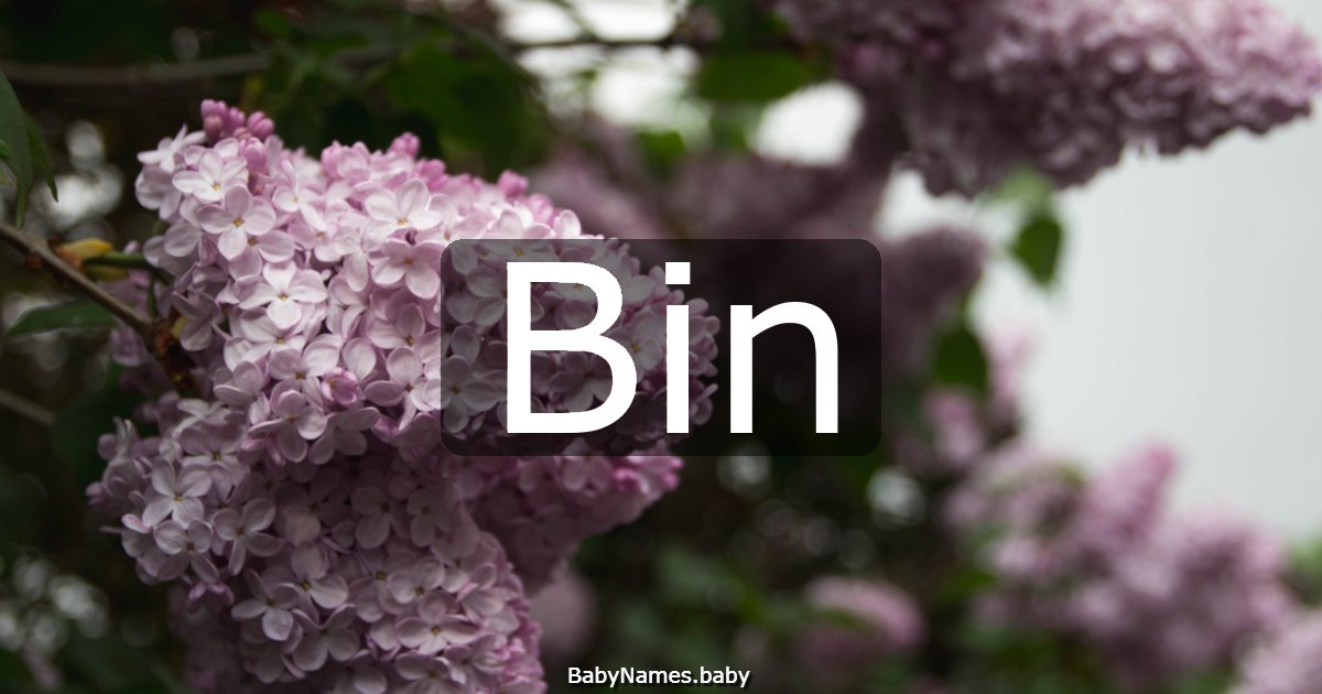 Bin