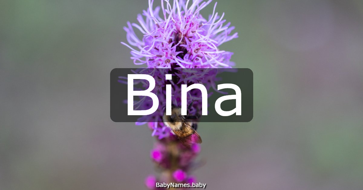 Bina