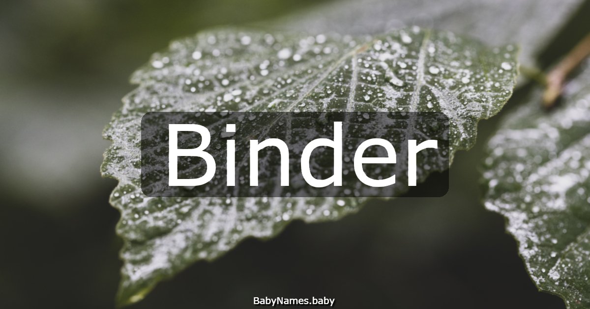 Binder