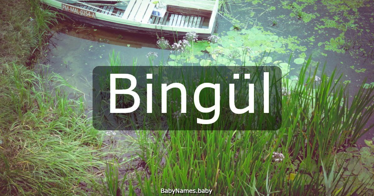 Bingül