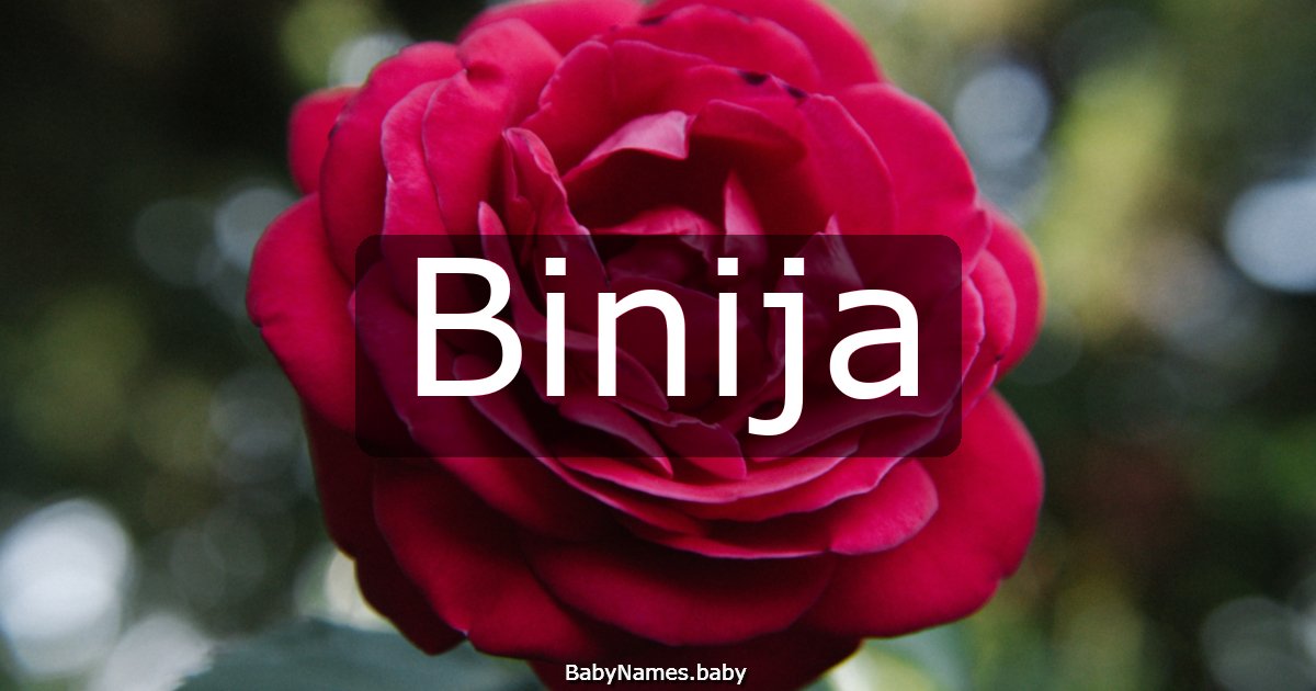 Binija