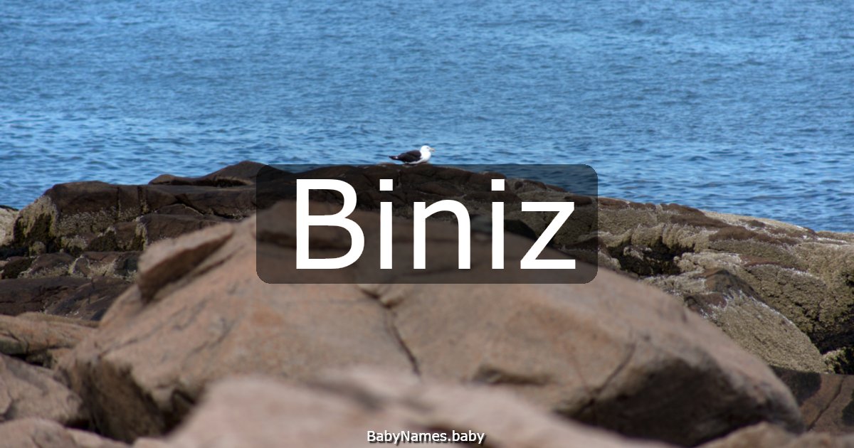 Biniz
