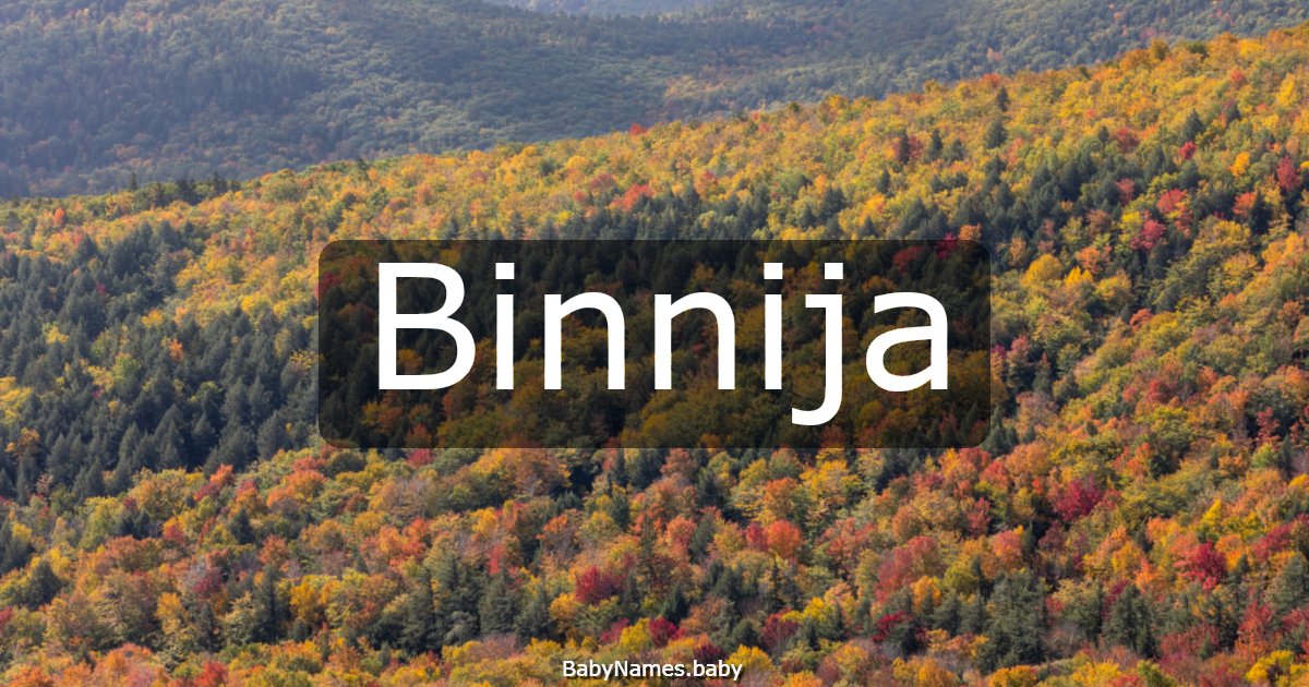 Binnija