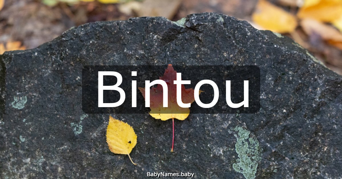 Bintou