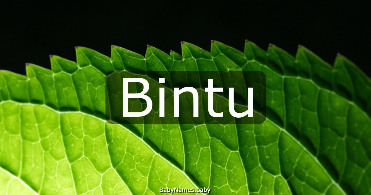 Bintu