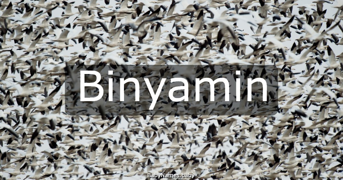 Binyamin