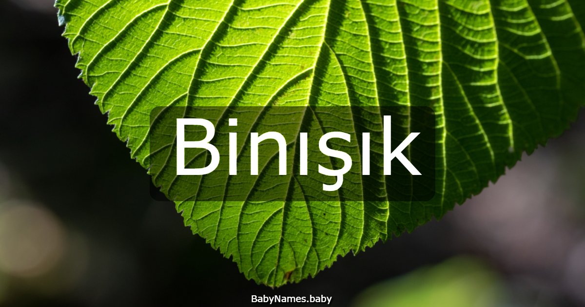 Binışık