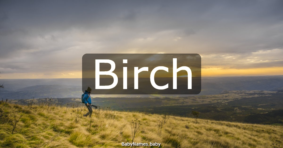 Birch