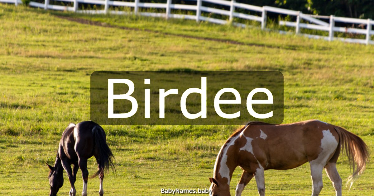 Birdee