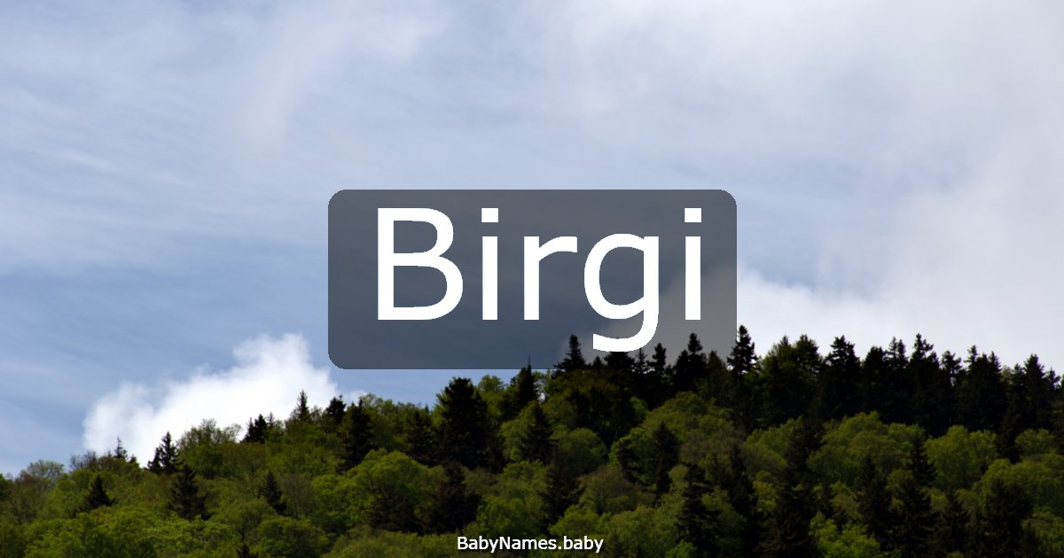 Birgi