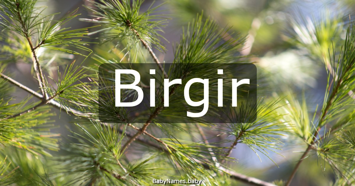 Birgir