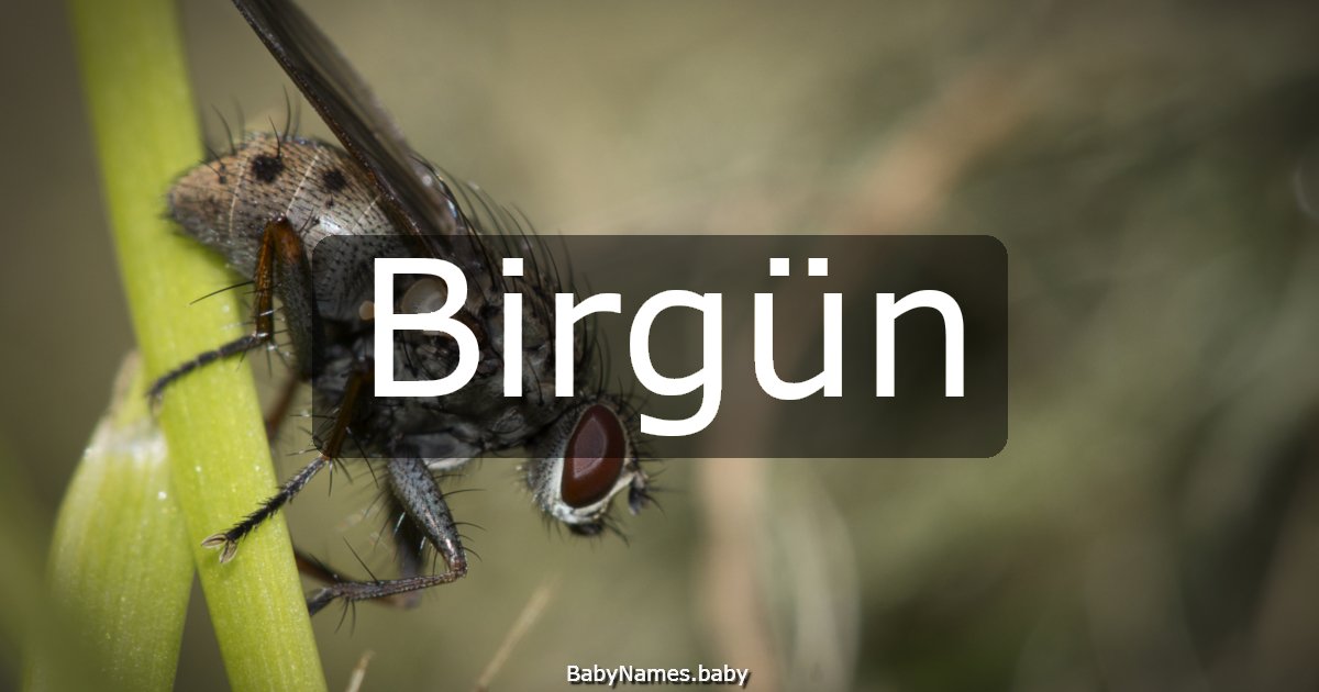 Birgün