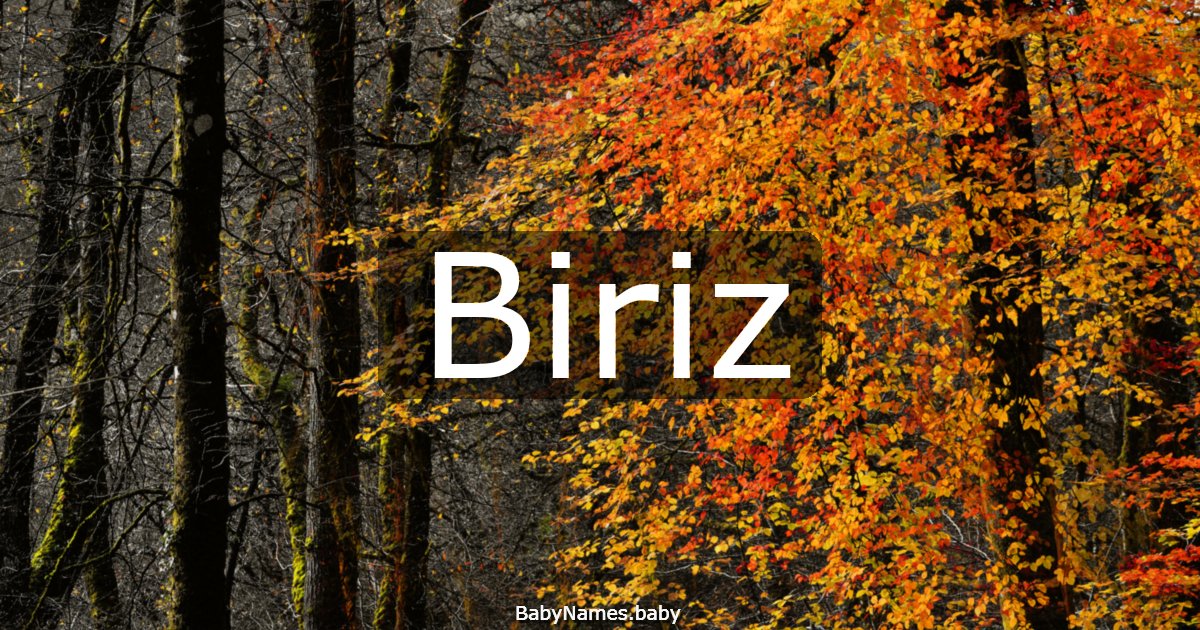 Biriz