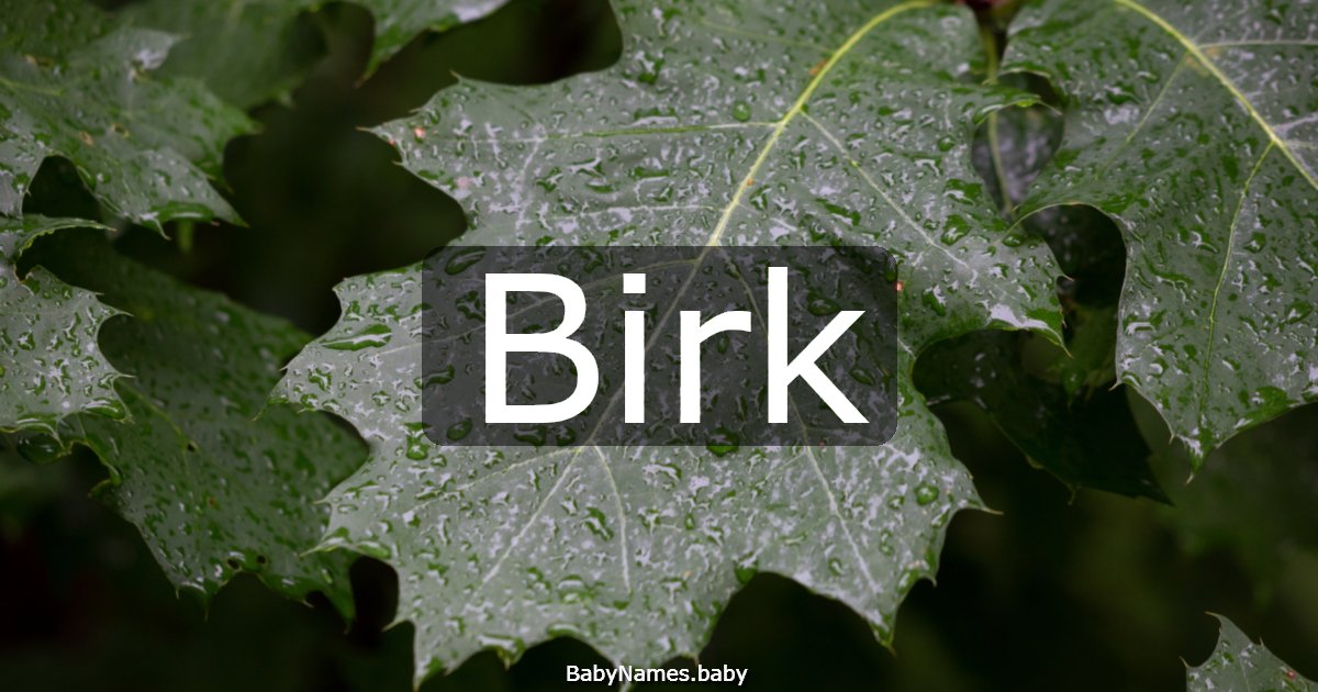 Birk