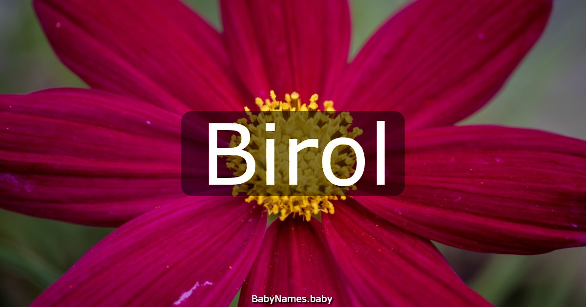 Birol