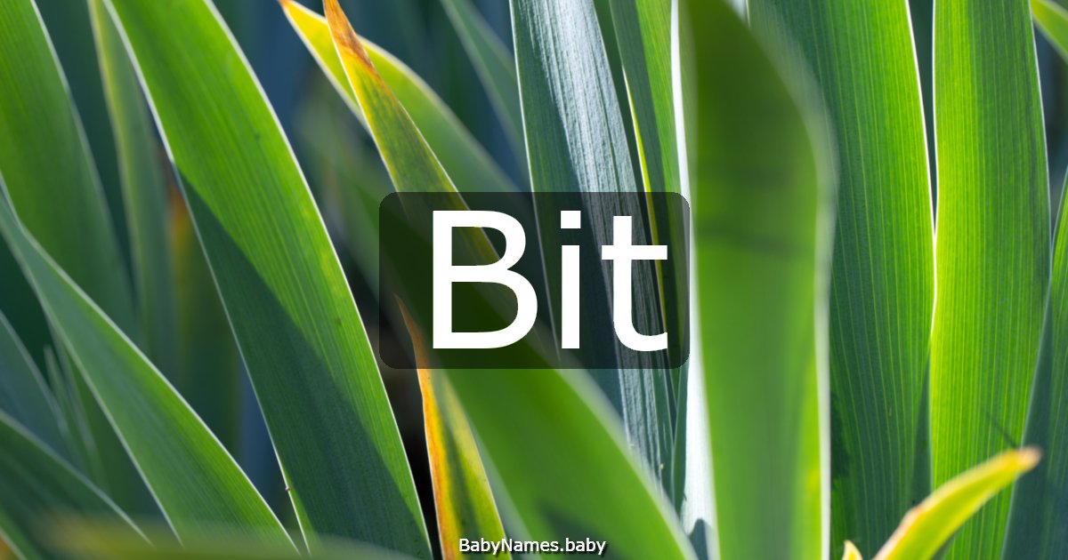 Bit