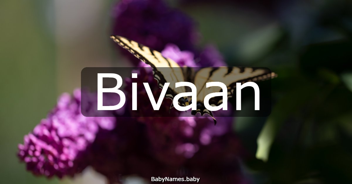 Bivaan