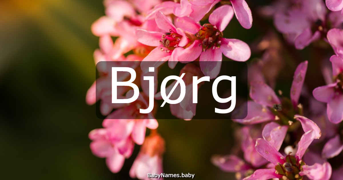 Bjørg
