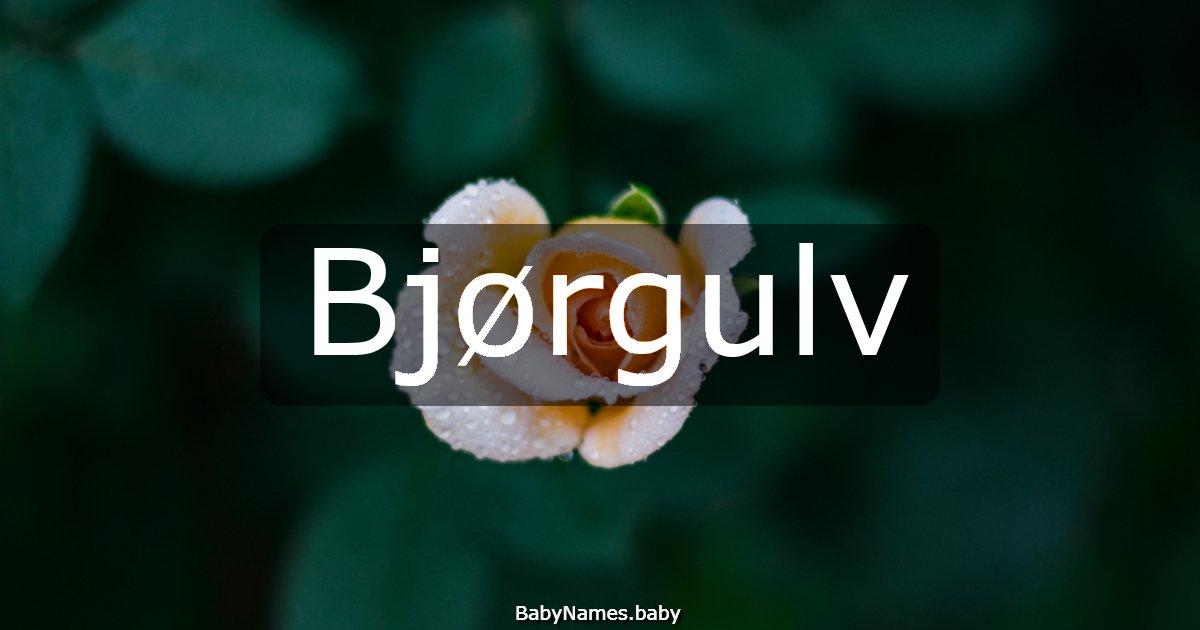 Bjørgulv