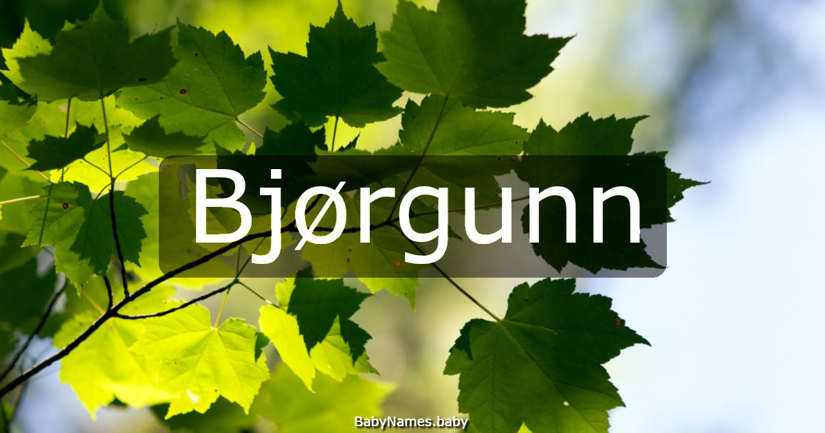 Bjørgunn