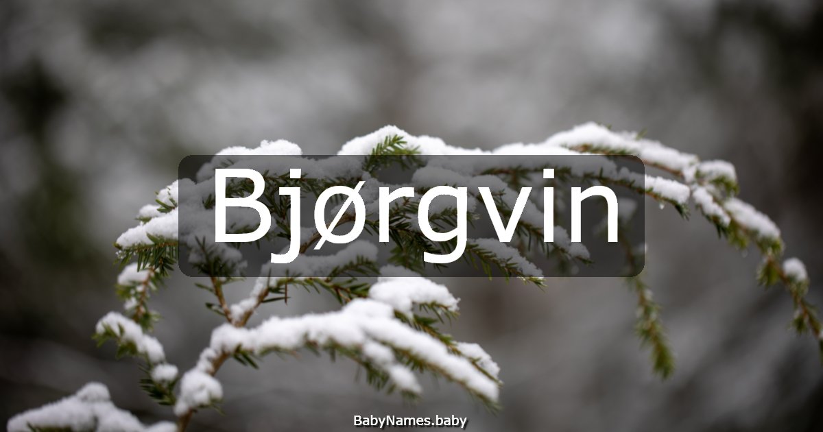Bjørgvin