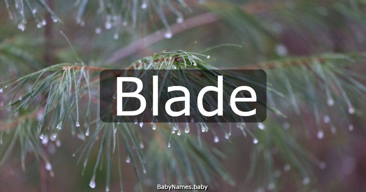 Blade