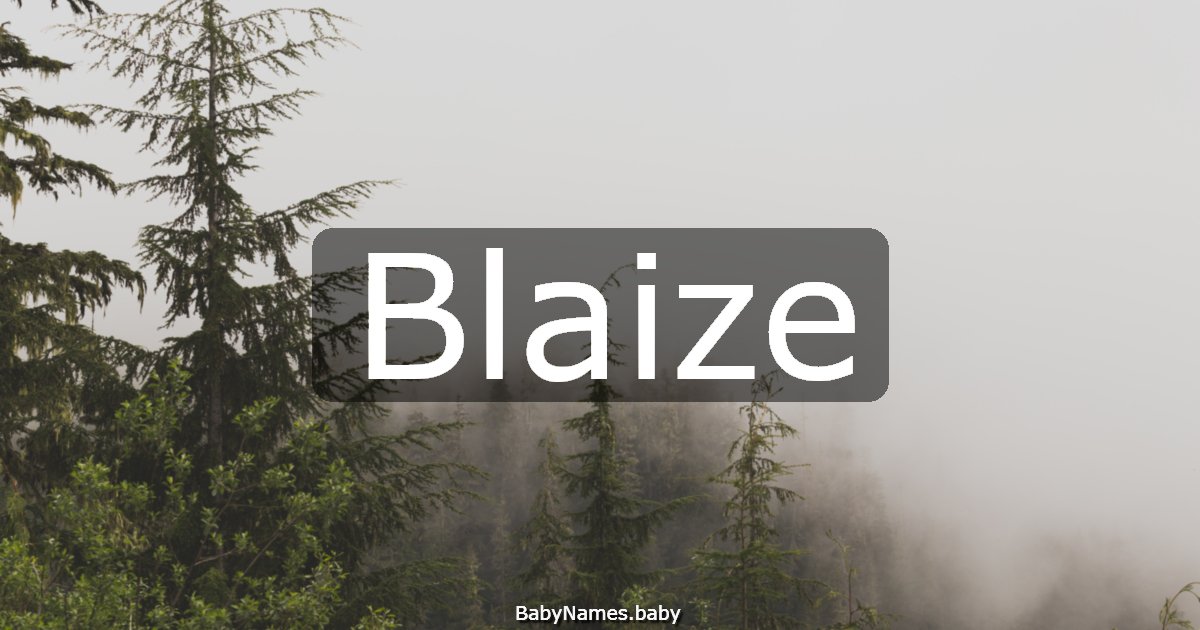 Blaize